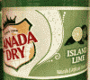 Canada Dry Island Lime (20 oz)