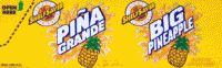 _Big Pineapple